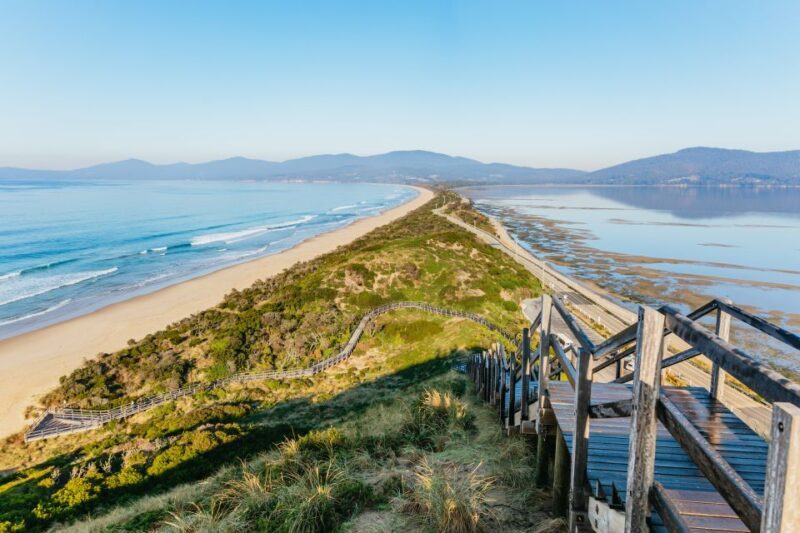 From Hobart/Adventure Bay: Bruny Island Wilderness Cruise - An In-Depth Look at the Bruny Island Wilderness Cruise