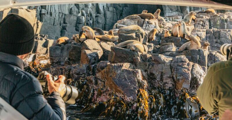 From Hobart/Adventure Bay: Bruny Island Wilderness Cruise - The Sum Up