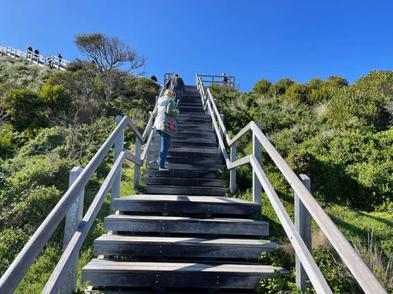 From Hobart: Bruny Island Nature & Produce Adventure Tour - From Hobart: Bruny Island Nature & Produce Adventure Tour — A Complete Review