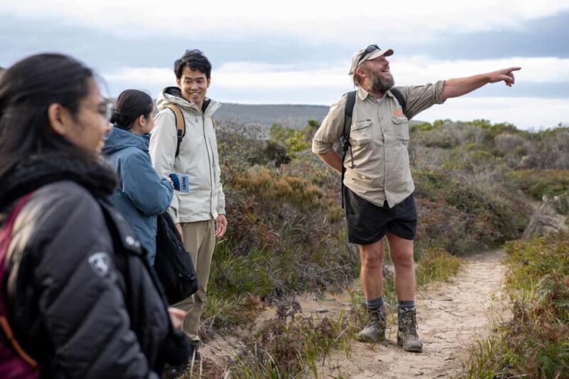 From Hobart: Bruny Island Nature & Produce Adventure Tour - Why This Tour Offers Great Value