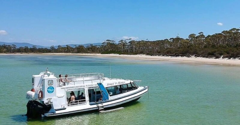From Hobart: Day Tour to Maria Island with Bus Connection - Key Points
