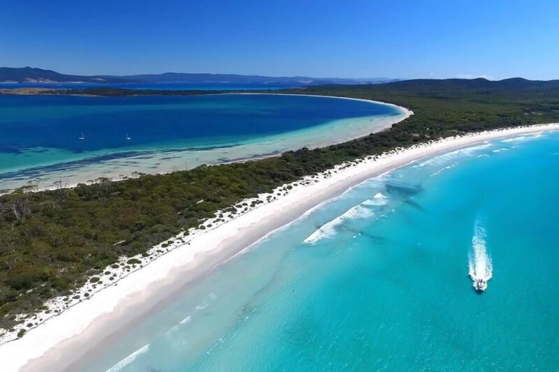 From Hobart: Day Tour to Maria Island with Bus Connection - The Sum Up