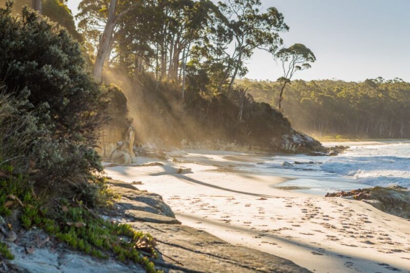 From Hobart: Full-Day Bruny Island Tour with Guide - Key Points