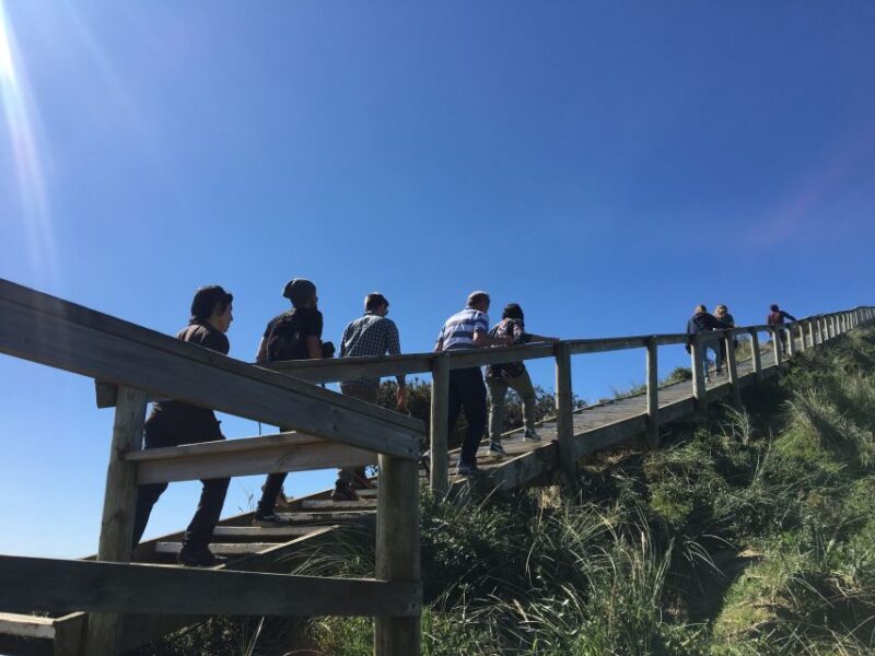 From Hobart: Full-Day Bruny Island Tour with Guide - A Closer Look at the Bruny Island Experience