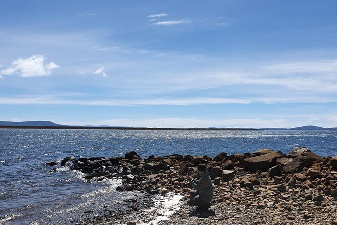 From Hobart: Great Lake and Untamed High Country Small Group Tour - Who Will Love This Tour?