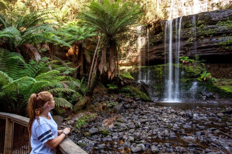 From Hobart: Mt. Field, Mt. Wellington and Wildlife Day Tour - What’s Included and What’s Not