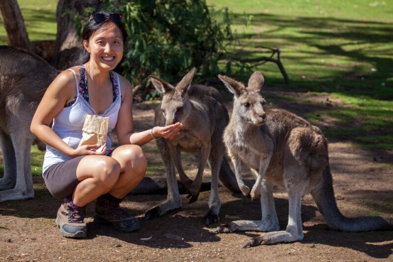 From Hobart: Mt. Field, Mt. Wellington and Wildlife Day Tour - Who This Tour Is Best For