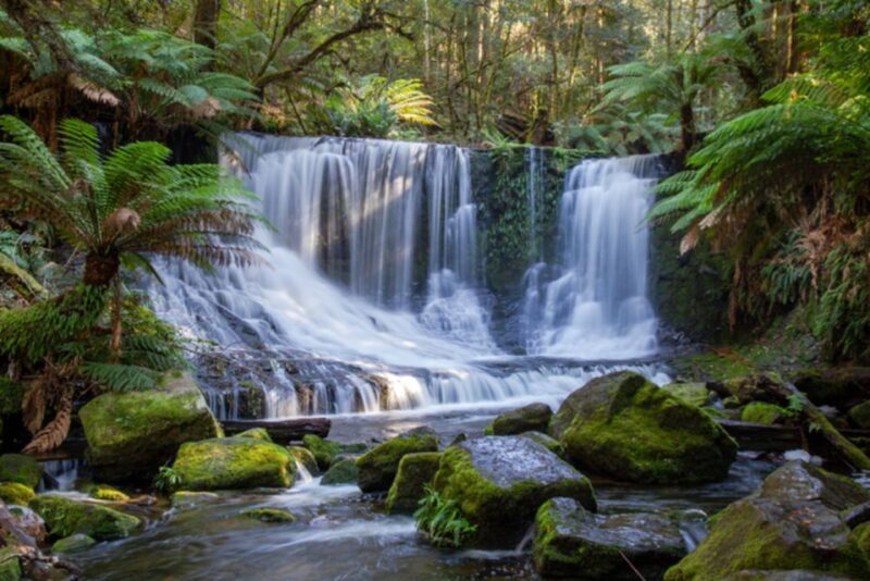 From Hobart: Mt. Field National Park and Russell Falls - From Hobart: Mt. Field National Park and Russell Falls