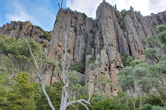 From Hobart: Mt Wellington Morning Walking Tour - Key Points