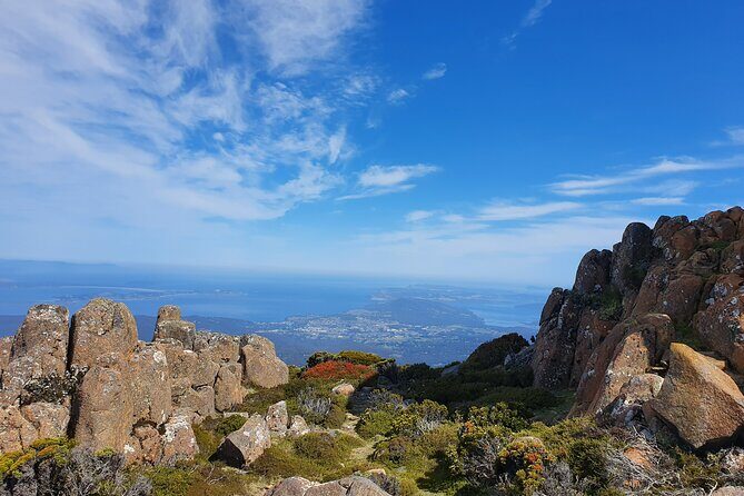 From Hobart: Mt Wellington Morning Walking Tour - Who Should Consider This Tour?