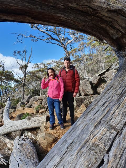 From Hobart: Mt Wellington Morning Walking Tour - Who Should Consider This Tour?
