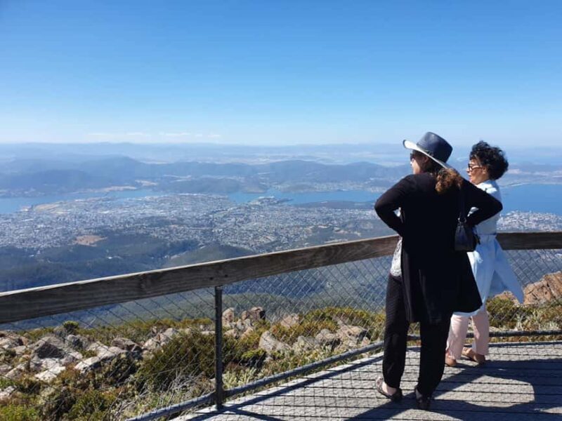 From Hobart: Mt Wellington Pinnacle 2 Hour Small Group Tour - Final Thoughts
