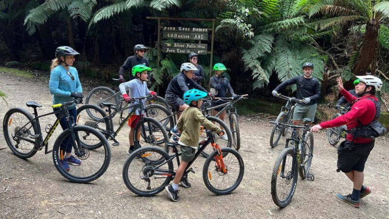From Hobart: Mt Wellington Summit & Rainforest Bike Tour - The Details of the Tour