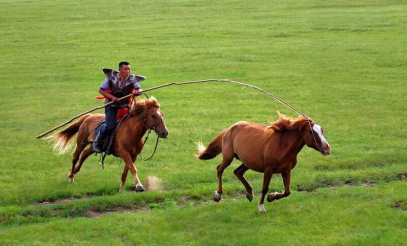 From Hohhot: 8-Day Inner Mongolia Private Tour to Ordos - FAQs