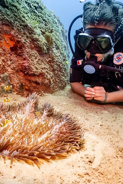 From Hoi An/ Da Nang: Swimming & Snorkeling In Cham Islands - From Hoi An/Da Nang: Swimming & Snorkeling In Cham Islands — A Detailed Review