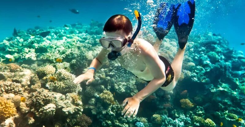 From Hoi An/ Da Nang: Swimming & Snorkeling In Cham Islands - Key Points