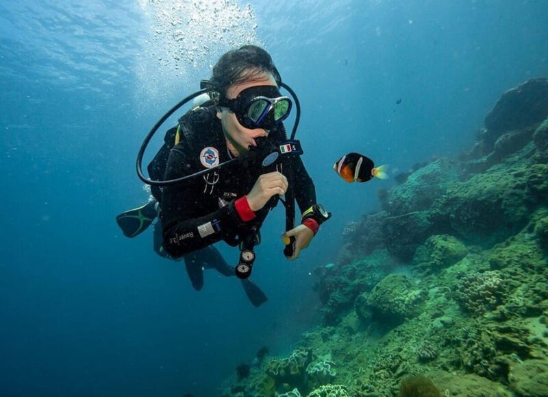 From Hoi An/ Da Nang: Swimming & Snorkeling In Cham Islands - Who Is This Tour Best For?