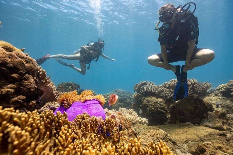 From Hoi An/ Da Nang: Visit My Son Sanctuary & Cham Islands - Exploring the Itinerary: A Detailed Look at the Day