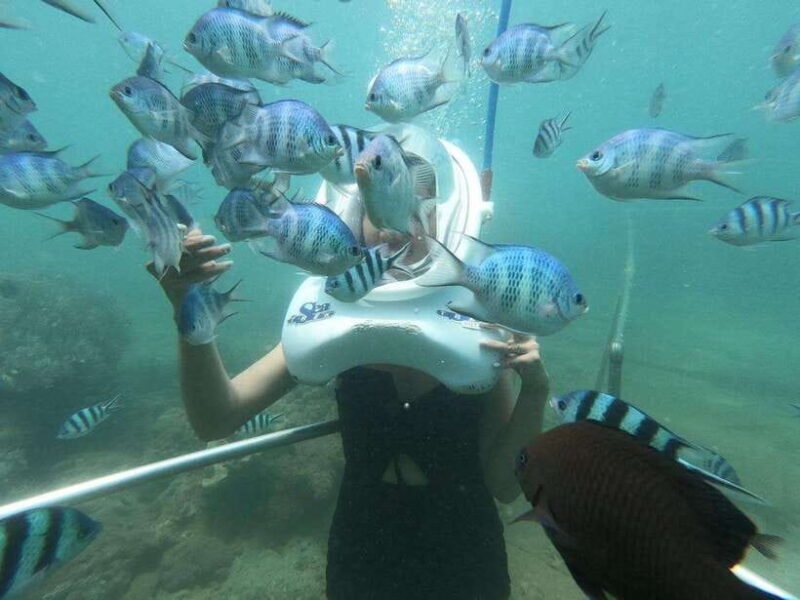 From Hoi An/ Da Nang: Visit My Son Sanctuary & Cham Islands - FAQs