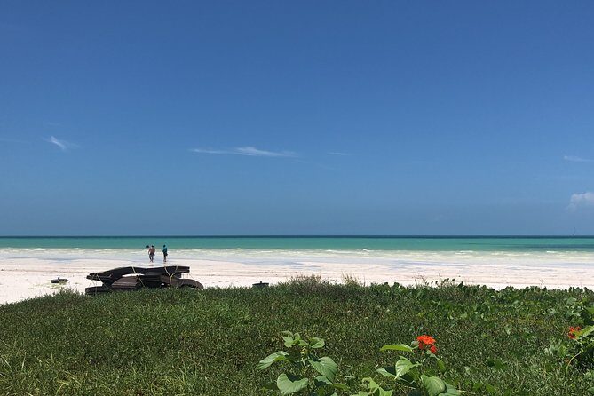 From Holbox to Cancun Private Transportation - FAQ