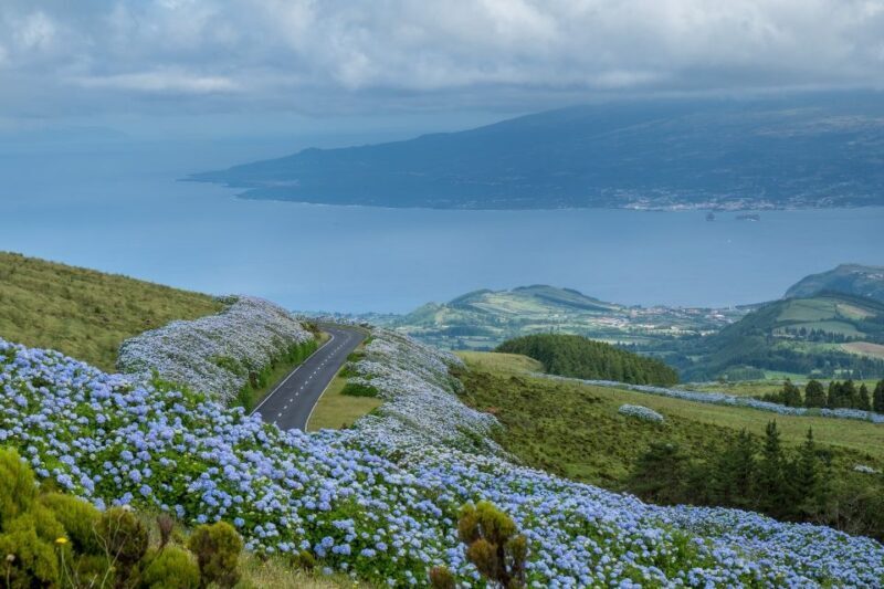 From Horta: Guided Faial Island Tour - A Deep Dive into the Faial Guided Tour Experience