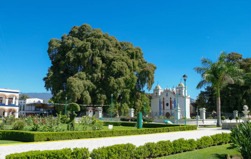 From Huatulco: 2 Days Excursion to Oaxaca City - In-Depth Tour Review