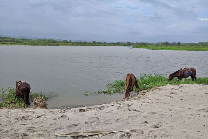 From Huatulco: Beach Horseback Riding Experience - Key Points