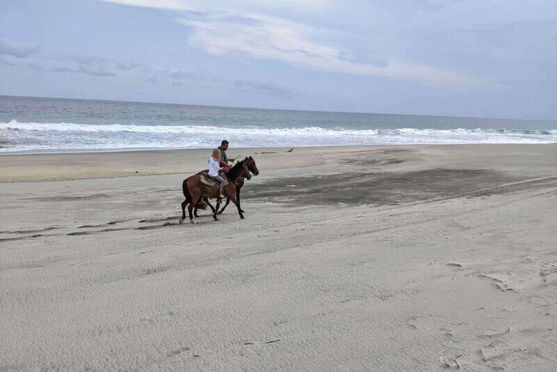 From Huatulco: Beach Horseback Riding Experience - Final Thoughts