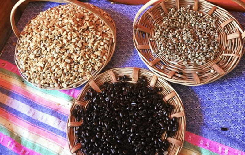 From Huatulco: Coffee and Mezcal Tour - The Sum Up: A Truly Authentic Oaxaca Experience