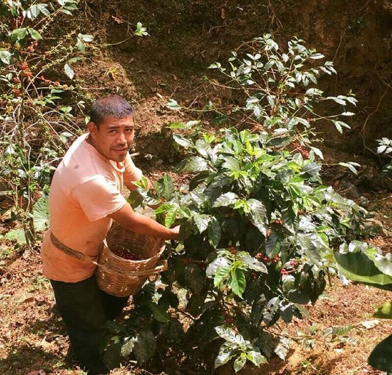 From Huatulco: Coffee Private Experience - A Closer Look at the Coffee Private Experience from Huatulco