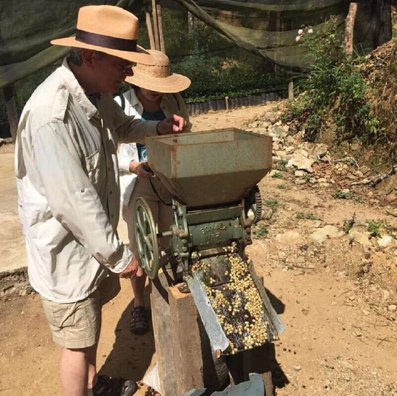 From Huatulco: Coffee Private Experience - The Sum Up