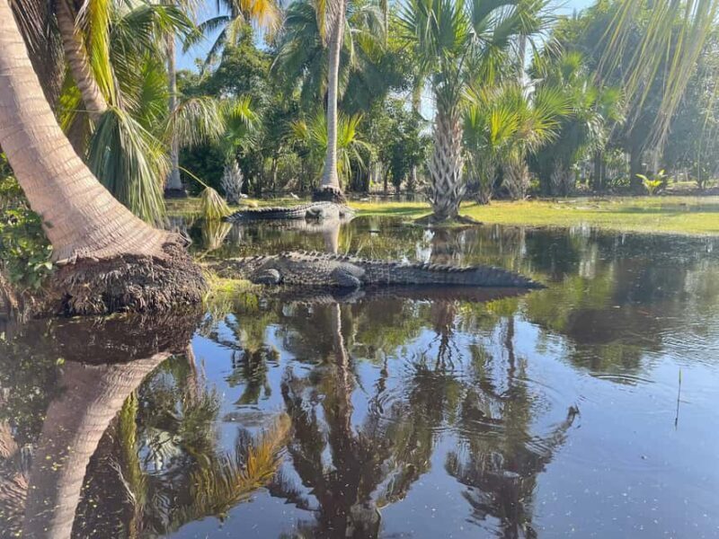 From Huatulco: Crocodile and Turtle Eco-Tour - The Logistics: What to Expect