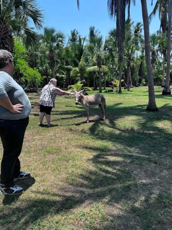 From Huatulco: Crocodiles and Turtles Eco Day-Tour - Practicalities and Tips for Travelers