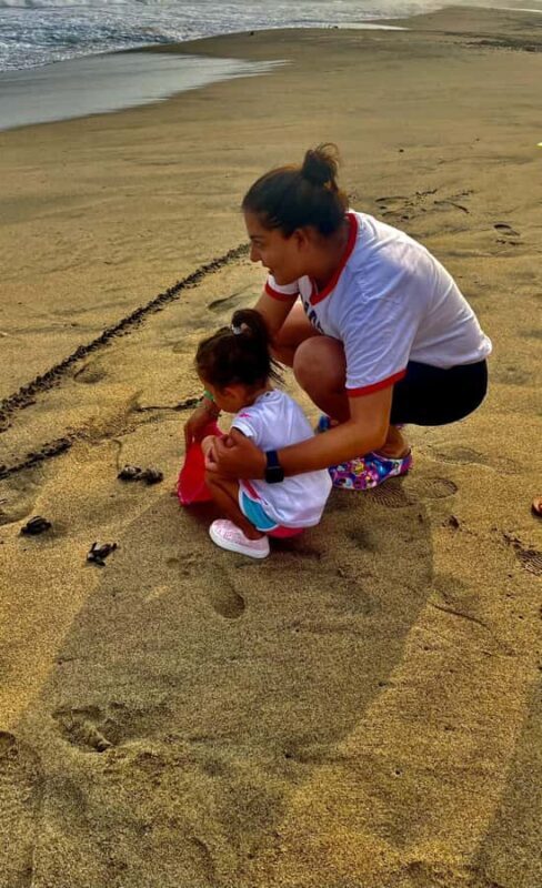 From Huatulco: Crocodiles and Turtles Eco Day-Tour - Final Thoughts: Why This Tour Stands Out