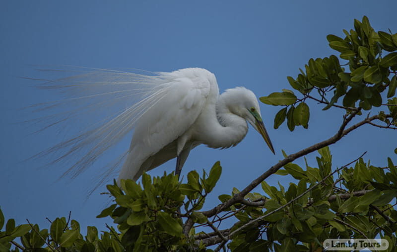 From Huatulco: Crocodiles and Turtles Eco Tour - Key Points