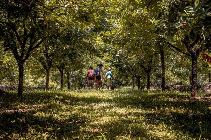 From Huatulco: Exotic garden on an ecotourism ranch and a visit to a viewpoint - Key Points