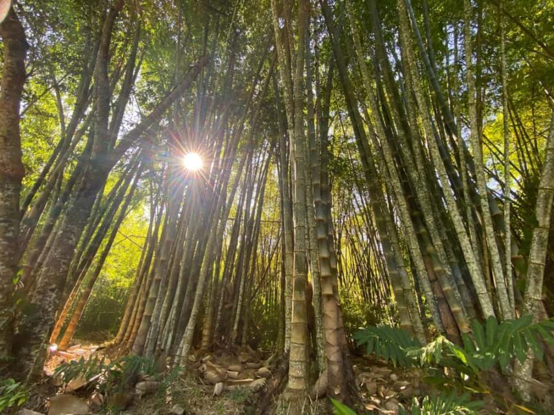 From Huatulco: Exotic garden on an ecotourism ranch and a visit to a viewpoint - Frequently Asked Questions