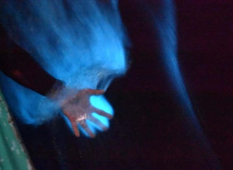 From Huatulco: Magical Bioluminescence Experience - Key Points