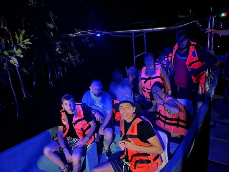 From Huatulco: Magical Bioluminescence Experience - Exploring the Bioluminescence Tour in detail