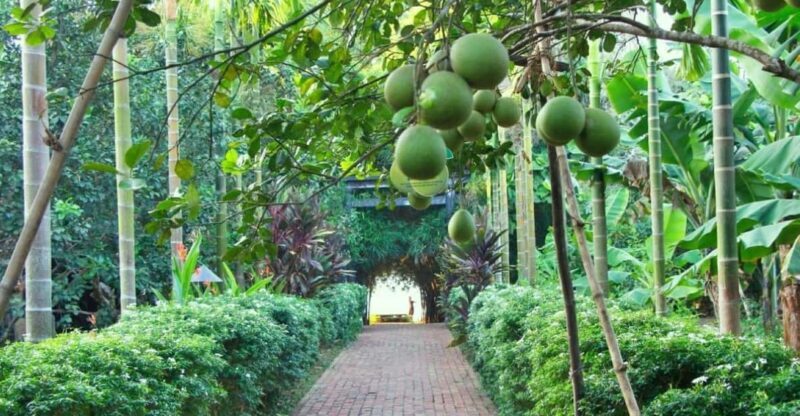 From Hue: 1 day COOKING CLASS IN THUY BIEU VILLAGE - Exploring Local Crafts: Incense, Painting, and More