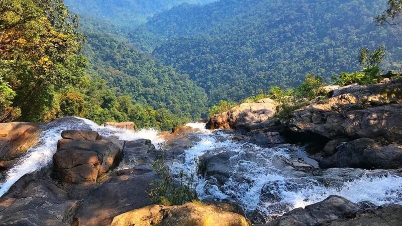 From Hue : Bach Ma National Park Hiking Day Adventure - Exploring Bach Ma National Park: A Practical and Authentic Day Out
