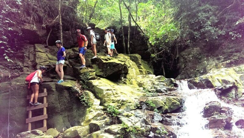From Hue/Da Nang/Hoi An: Bach Ma National Park Trekking Tour - Key Points