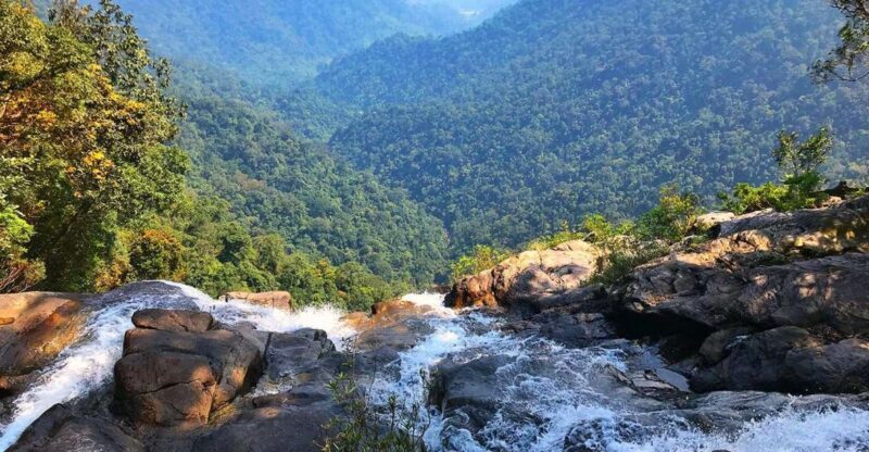 From Hue/Da Nang/Hoi An: Bach Ma National Park Trekking Tour - FAQ