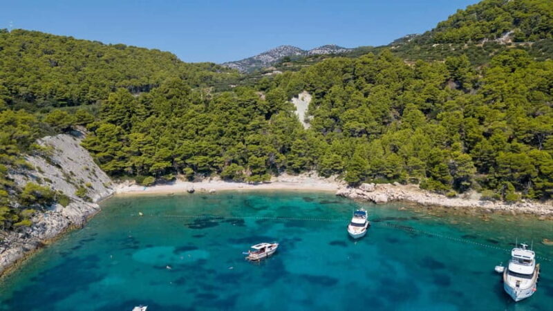 From Hvar: Hvar South and Pakleni Islands Private Boat Tour - The Sum Up