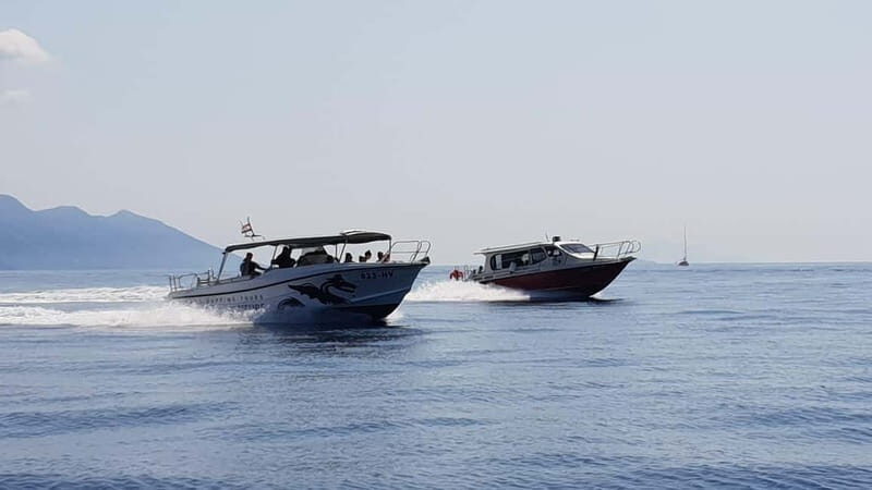 From Hvar: Unforgetable Tour to the Island Vis and Blue Cave - Key Points