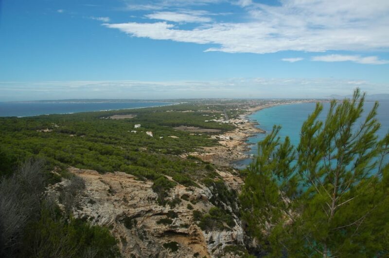 From Ibiza: Ferry and Guided Bus Excursion in Formentera - Possible Drawbacks or Considerations