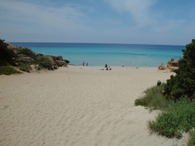 From Ibiza: Ferry and Guided Bus Excursion in Formentera - Who Should Consider This Tour?