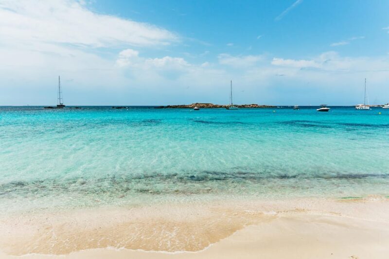 From Ibiza: Sailing Tour to Formentera with Beach Stops - Who Is This Tour Best For?
