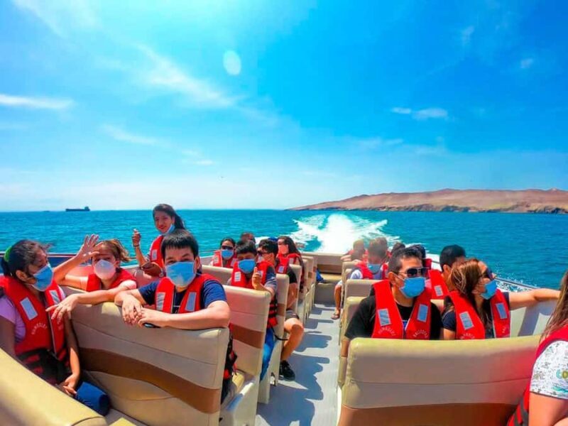 From Ica | 2-day tour to Ica- Huacachina and Paracas - Who Should Consider This Tour?