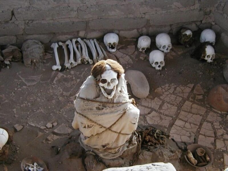 From Ica: Archaeological tour of Nazca - Who Will Love This Tour?